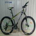 Fashion Design Fat Bicycle with Cool Style (LY-C-608)